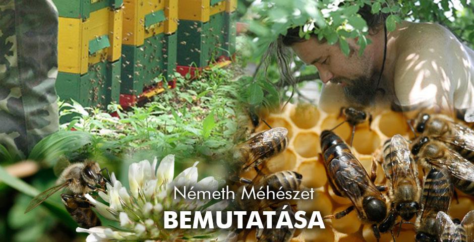 Németh Méhészet Alsónemesapáti